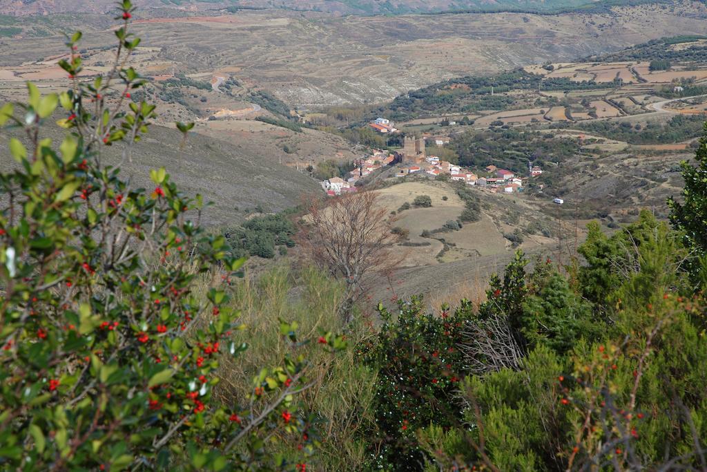 Vivienda Turistica Los Mesones Ágreda Εξωτερικό φωτογραφία